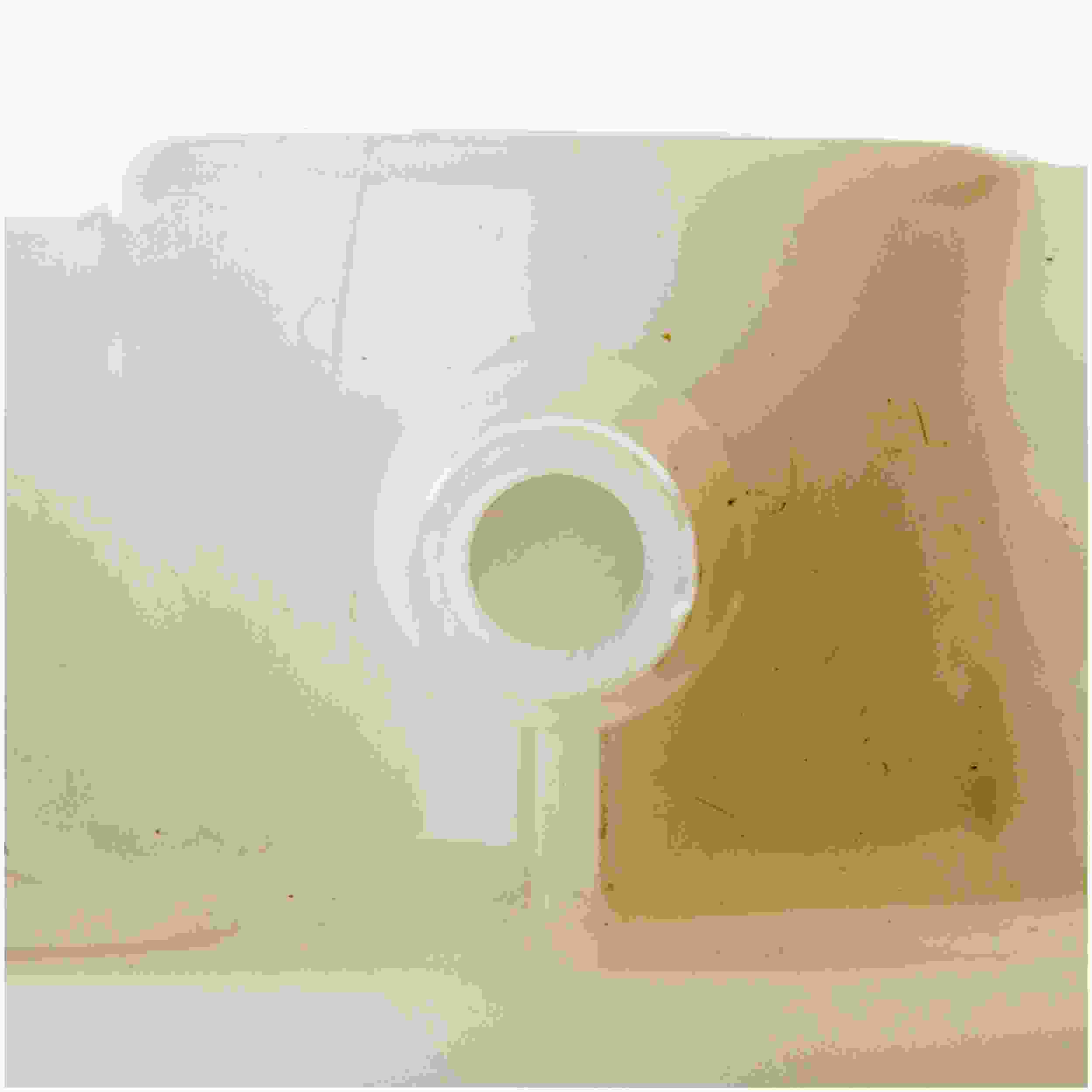 Delphi Fuel Pump Module Assembly FG0909