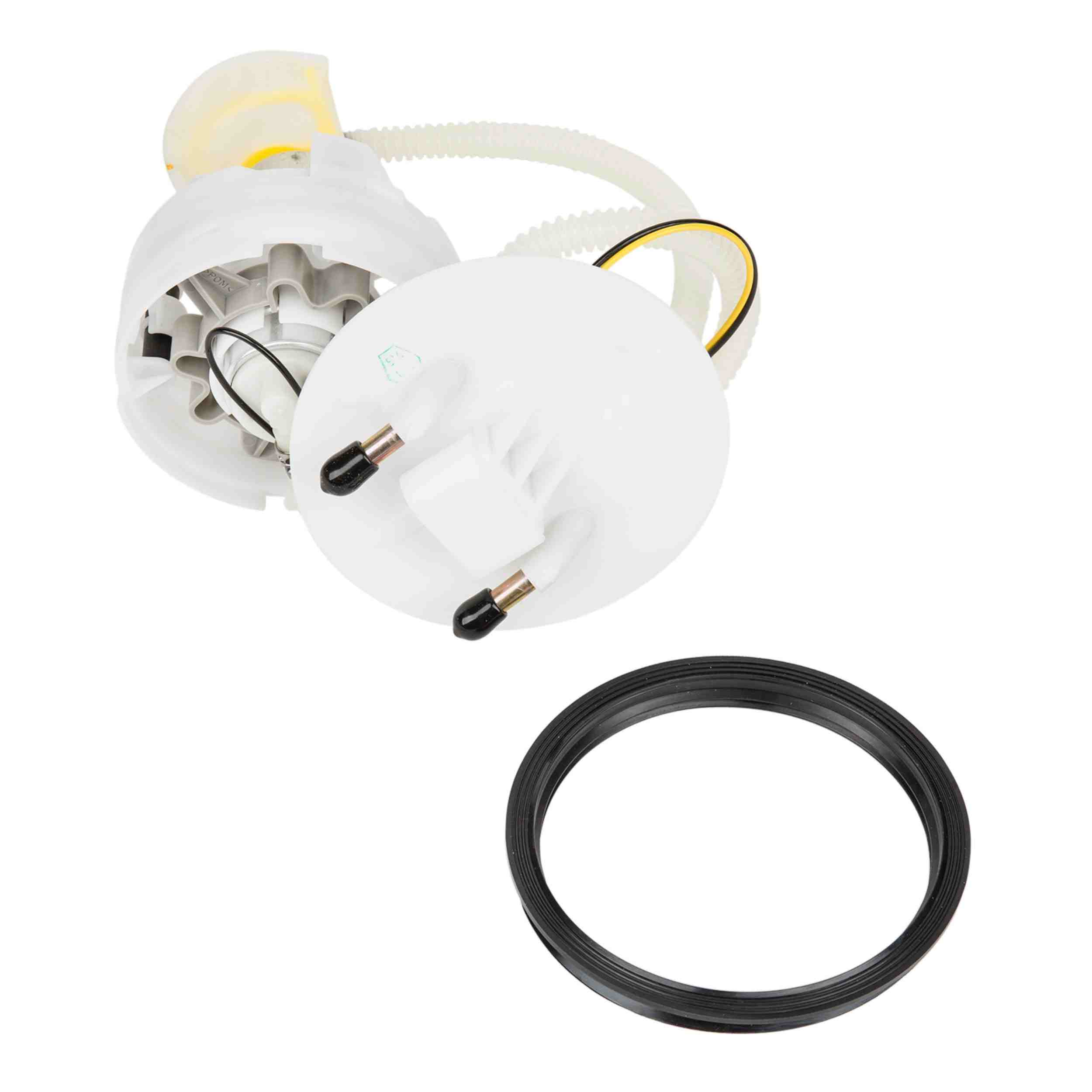 Delphi Fuel Pump Module Assembly FG0975