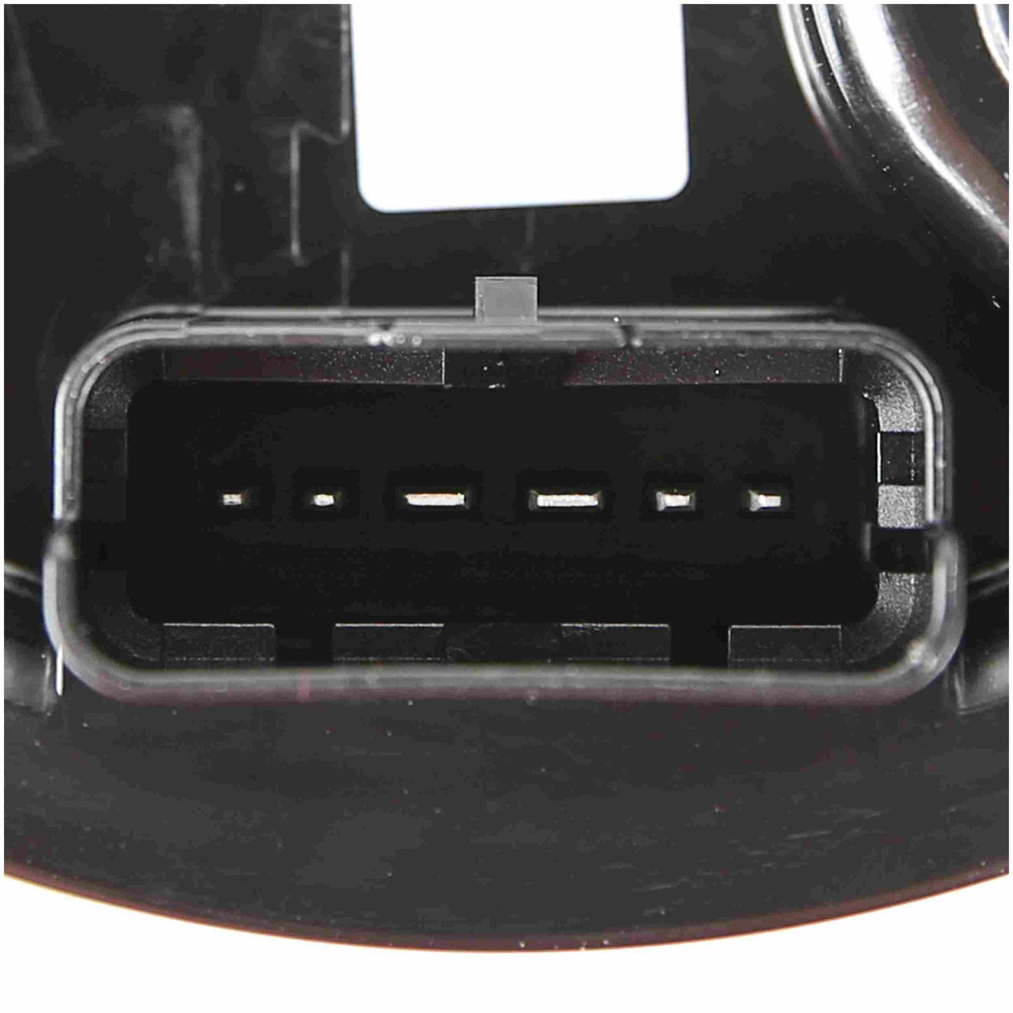 Delphi Fuel Pump Module Assembly FG1159