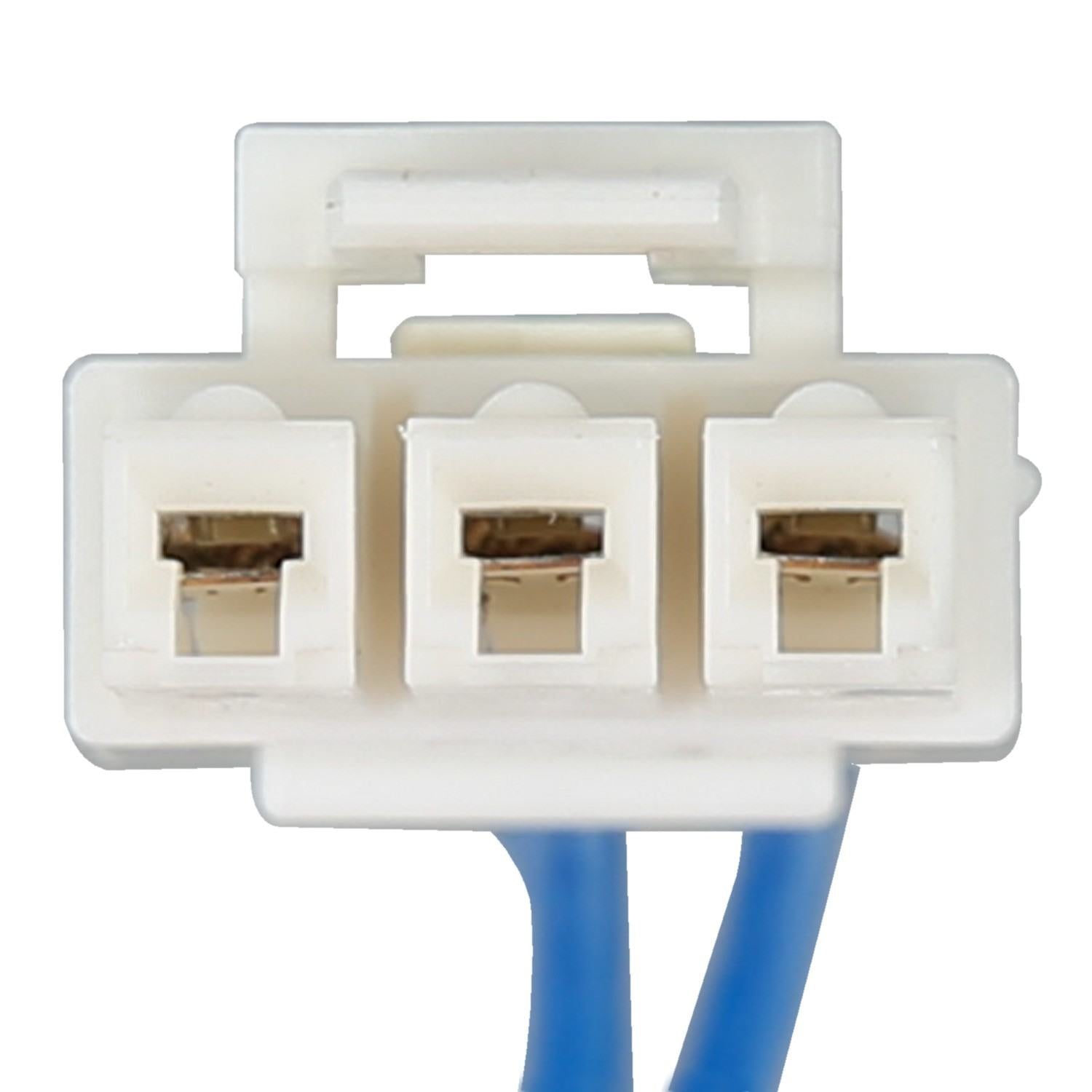 Delphi Fuel Pump Module Assembly FG1194