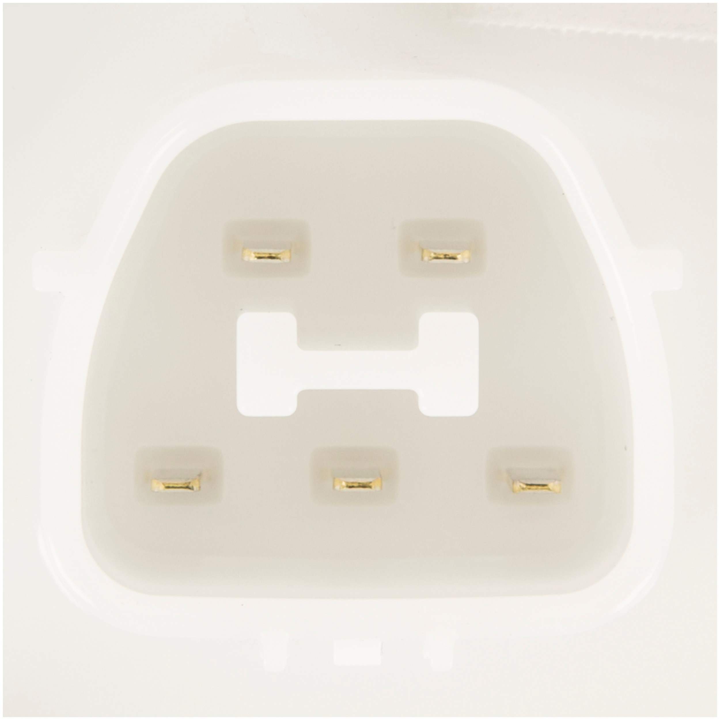 Delphi Fuel Pump Module Assembly FG1243