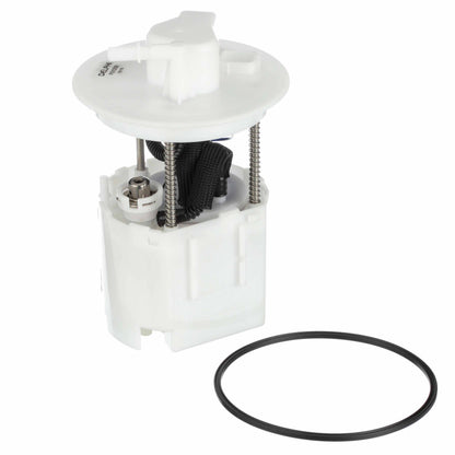 Delphi Fuel Pump Module Assembly FG1250