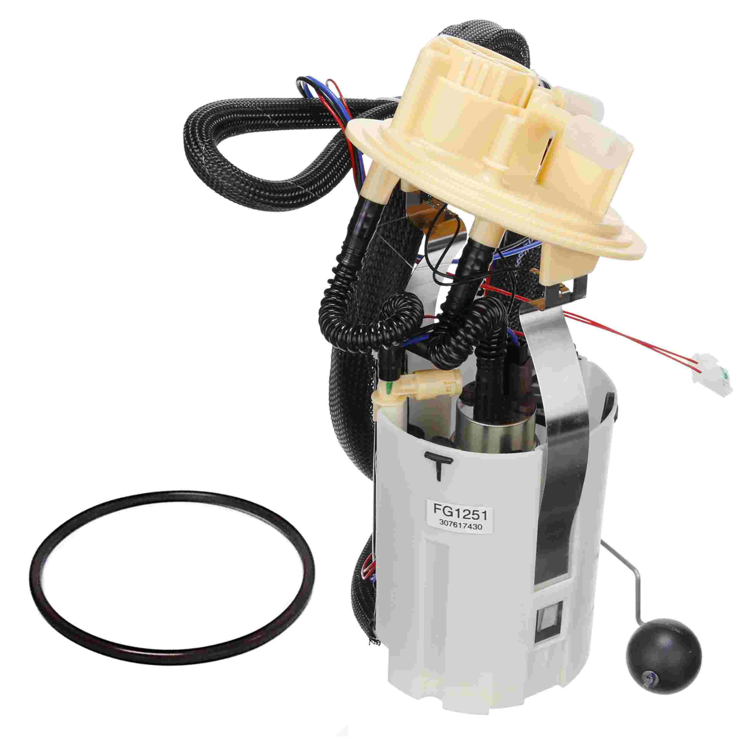 Delphi Fuel Pump Module Assembly FG1251