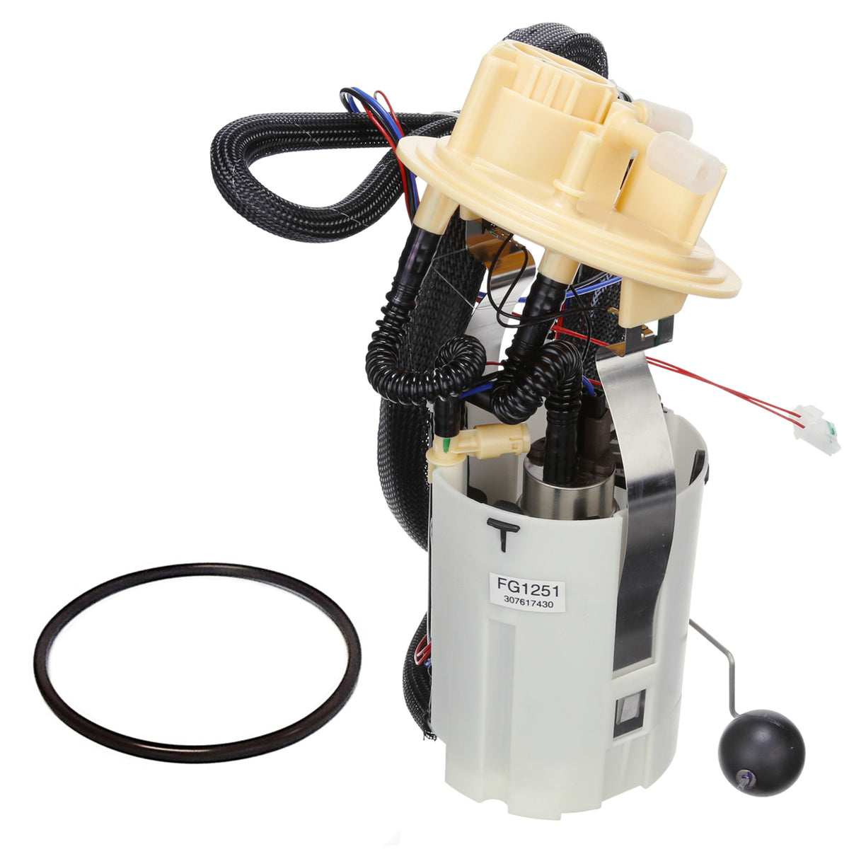 Delphi Fuel Pump Module Assembly FG1251