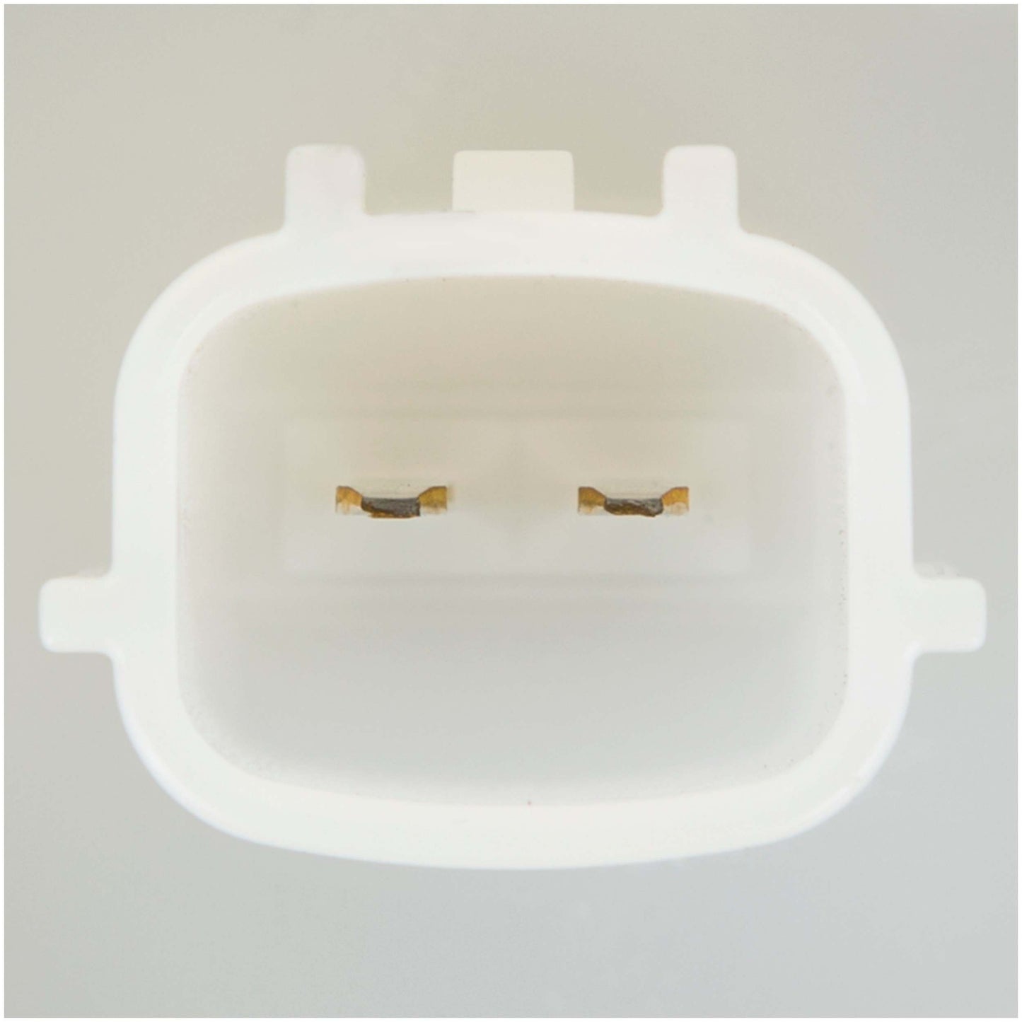 Delphi Fuel Pump Module Assembly FG1257