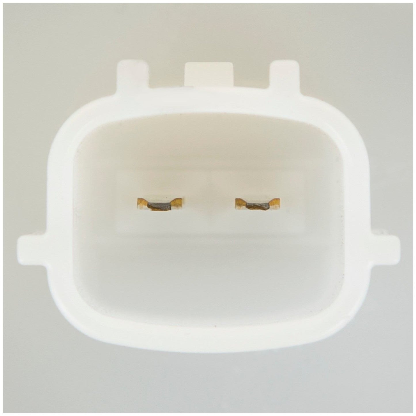 Delphi Fuel Pump Module Assembly FG1257