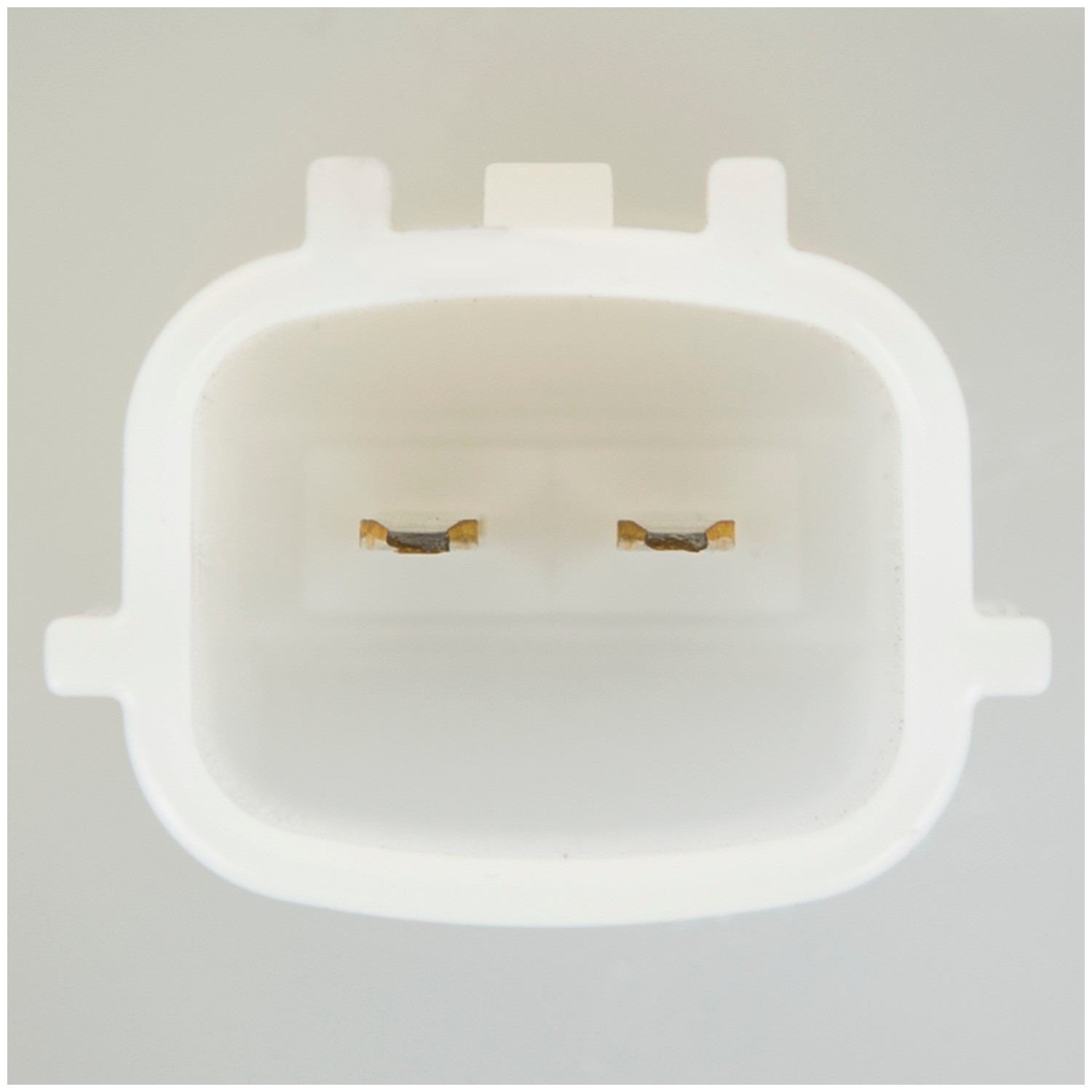 Delphi Fuel Pump Module Assembly FG1257