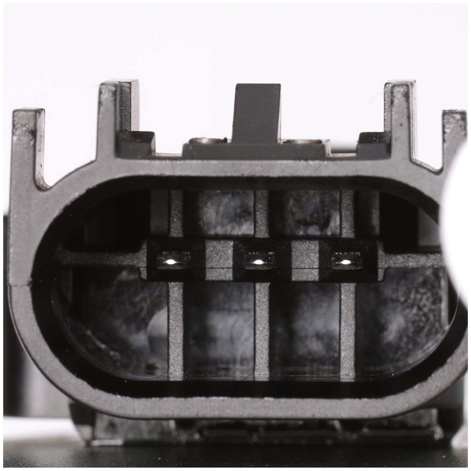 Delphi Fuel Pump Module Assembly FG1304