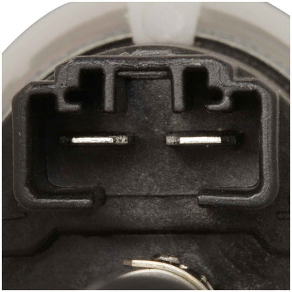 Delphi Fuel Pump and Strainer Set FG1352