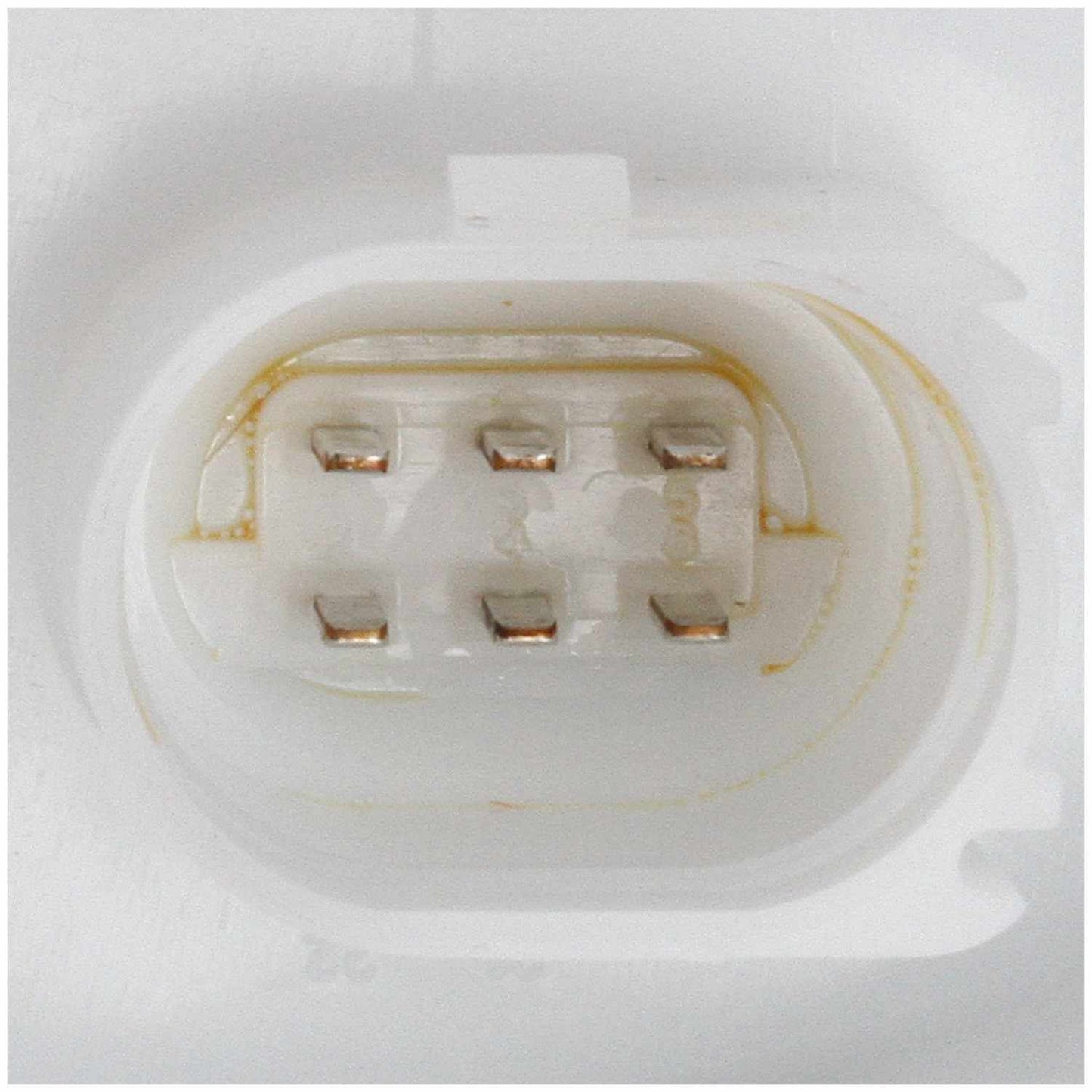 Delphi Fuel Pump Module Assembly FG1601