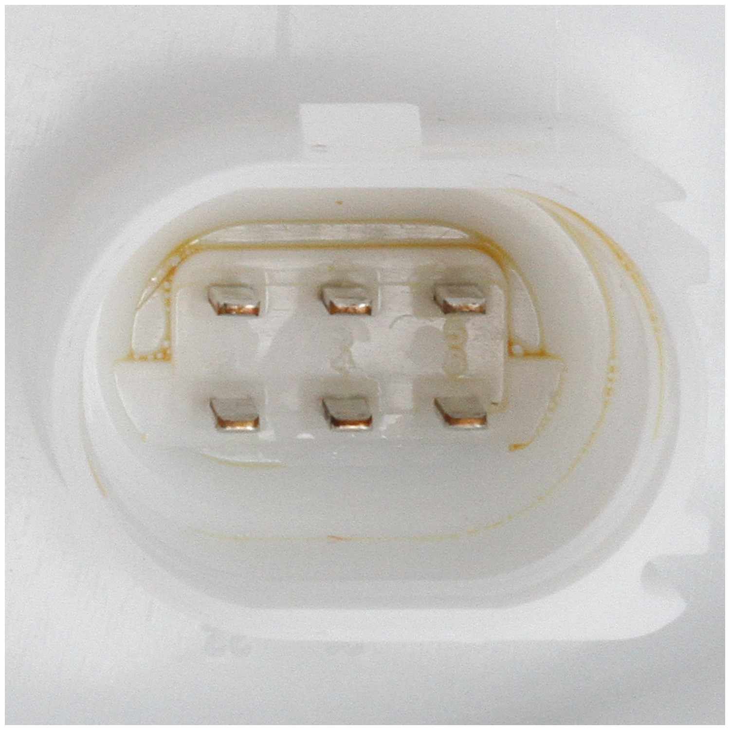 Delphi Fuel Pump Module Assembly FG1601