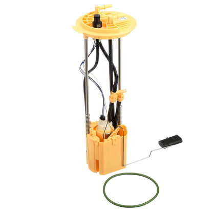 Delphi Fuel Pump Module Assembly FG1663