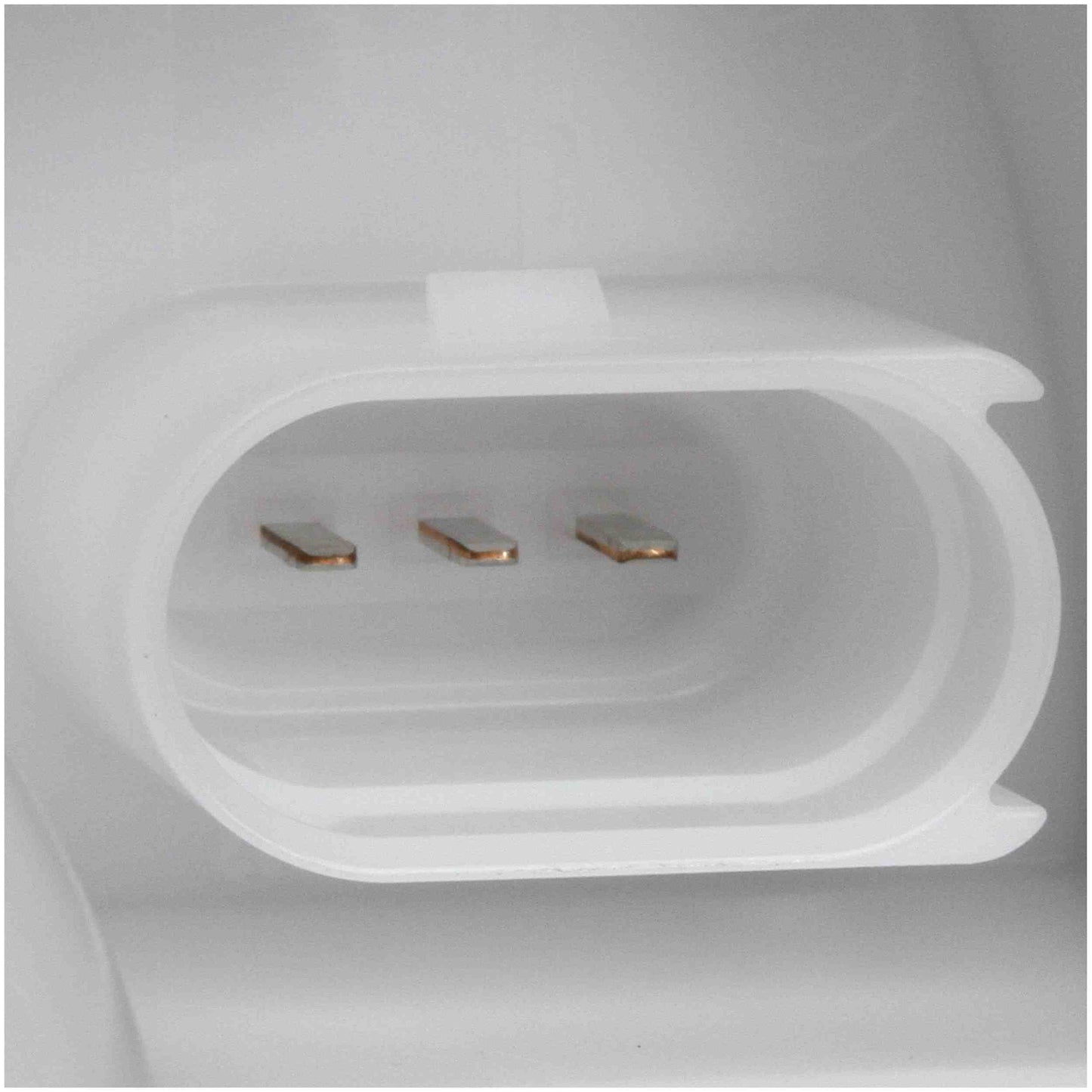 Delphi Fuel Pump Module Assembly FG1684