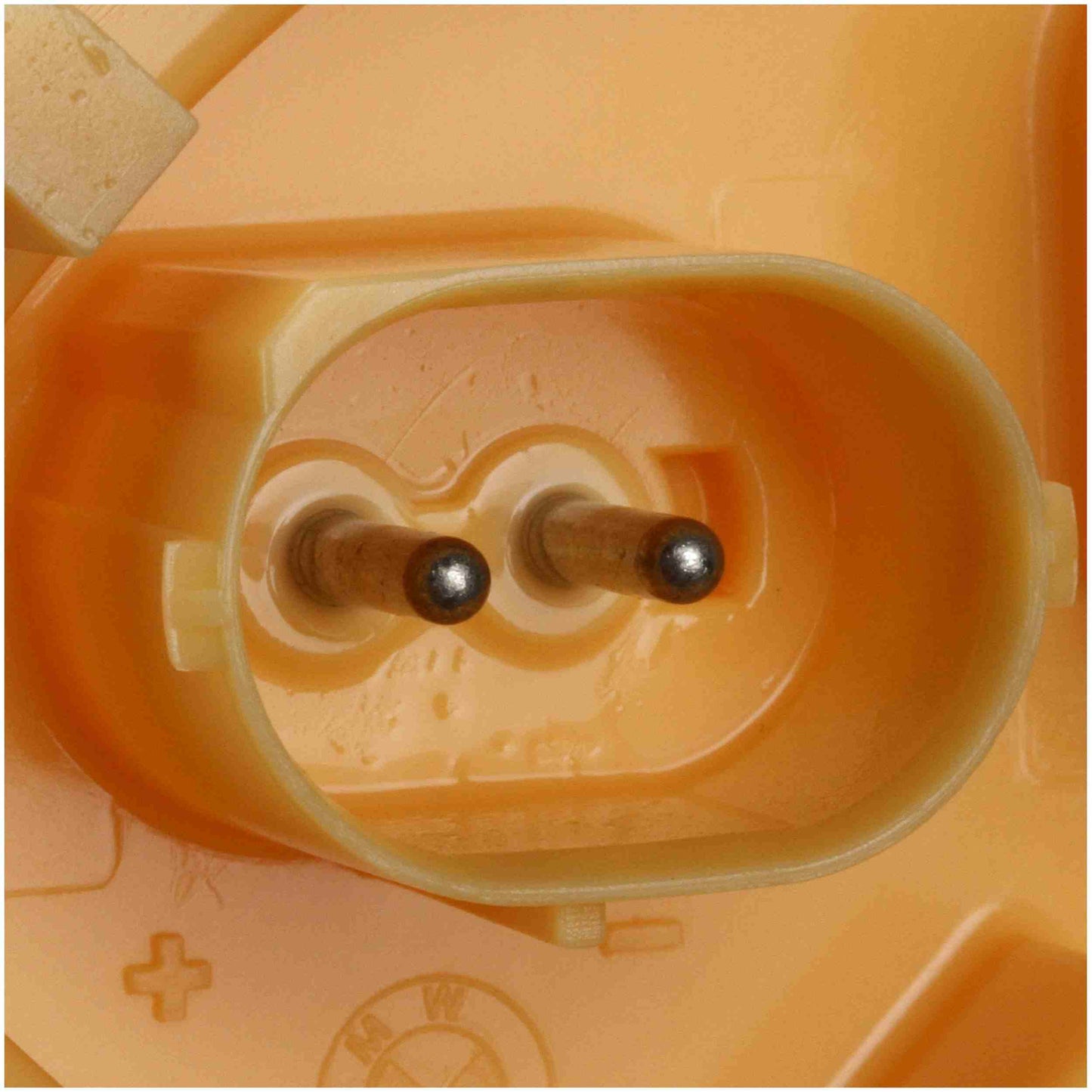 Delphi Fuel Pump Module Assembly FG1711