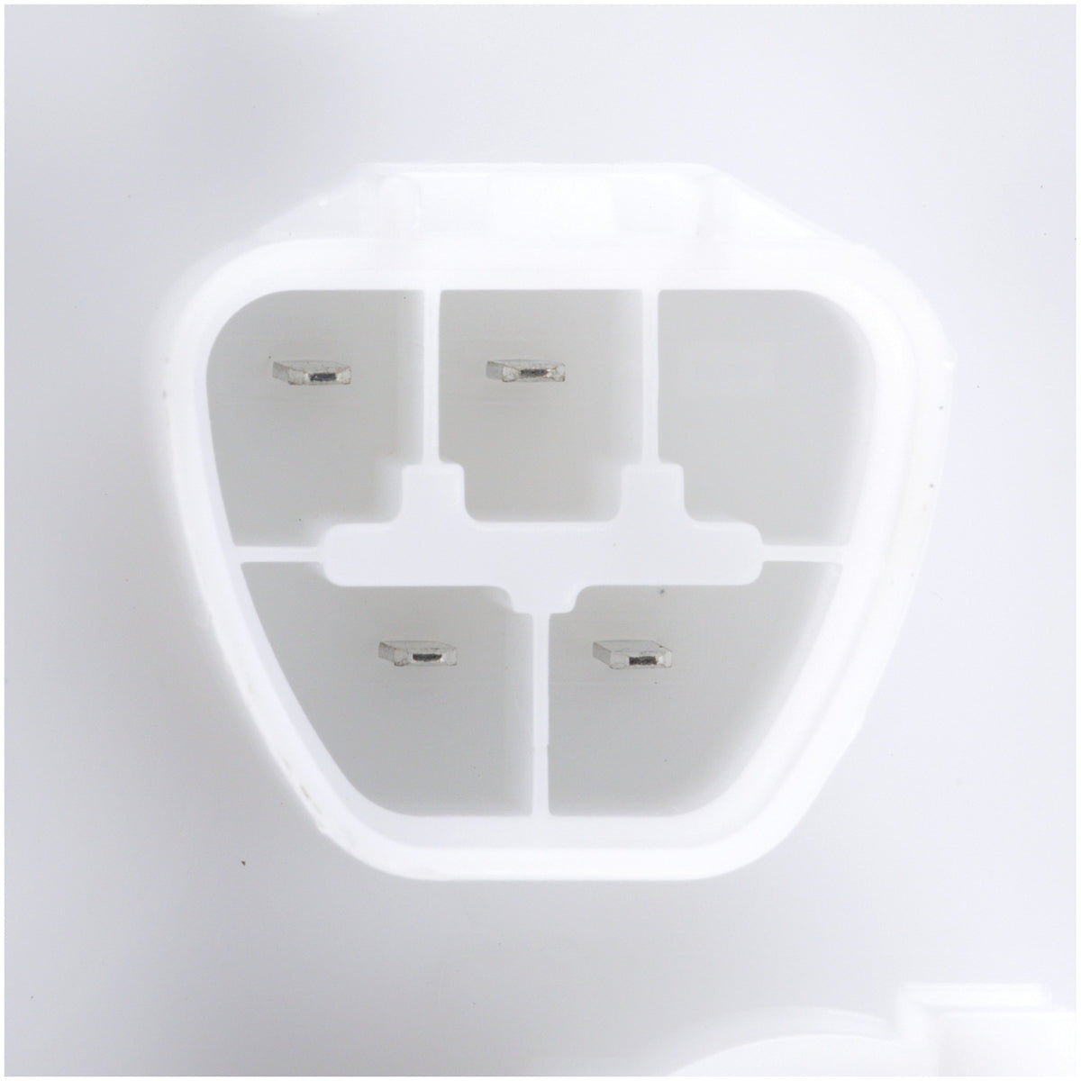 Delphi Fuel Pump Module Assembly FG1763