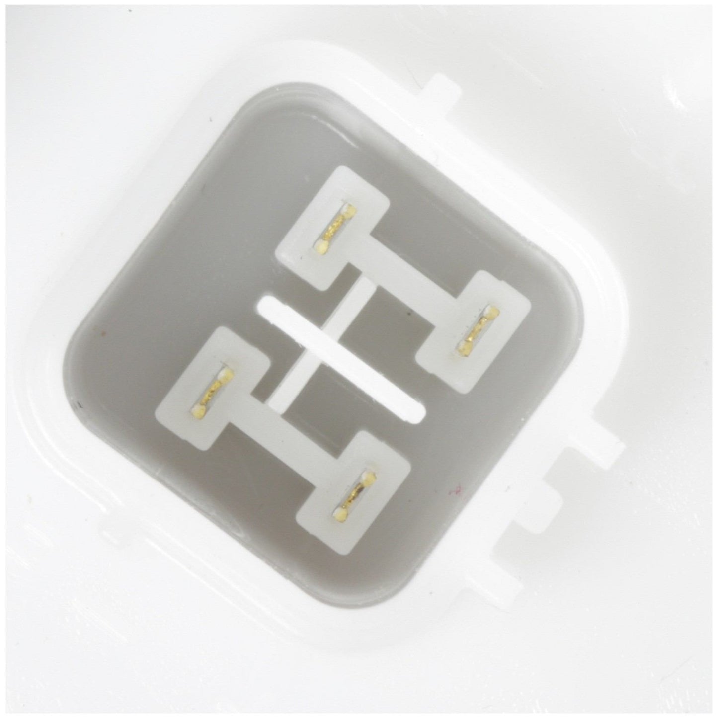 Delphi Fuel Pump Module Assembly FG1893