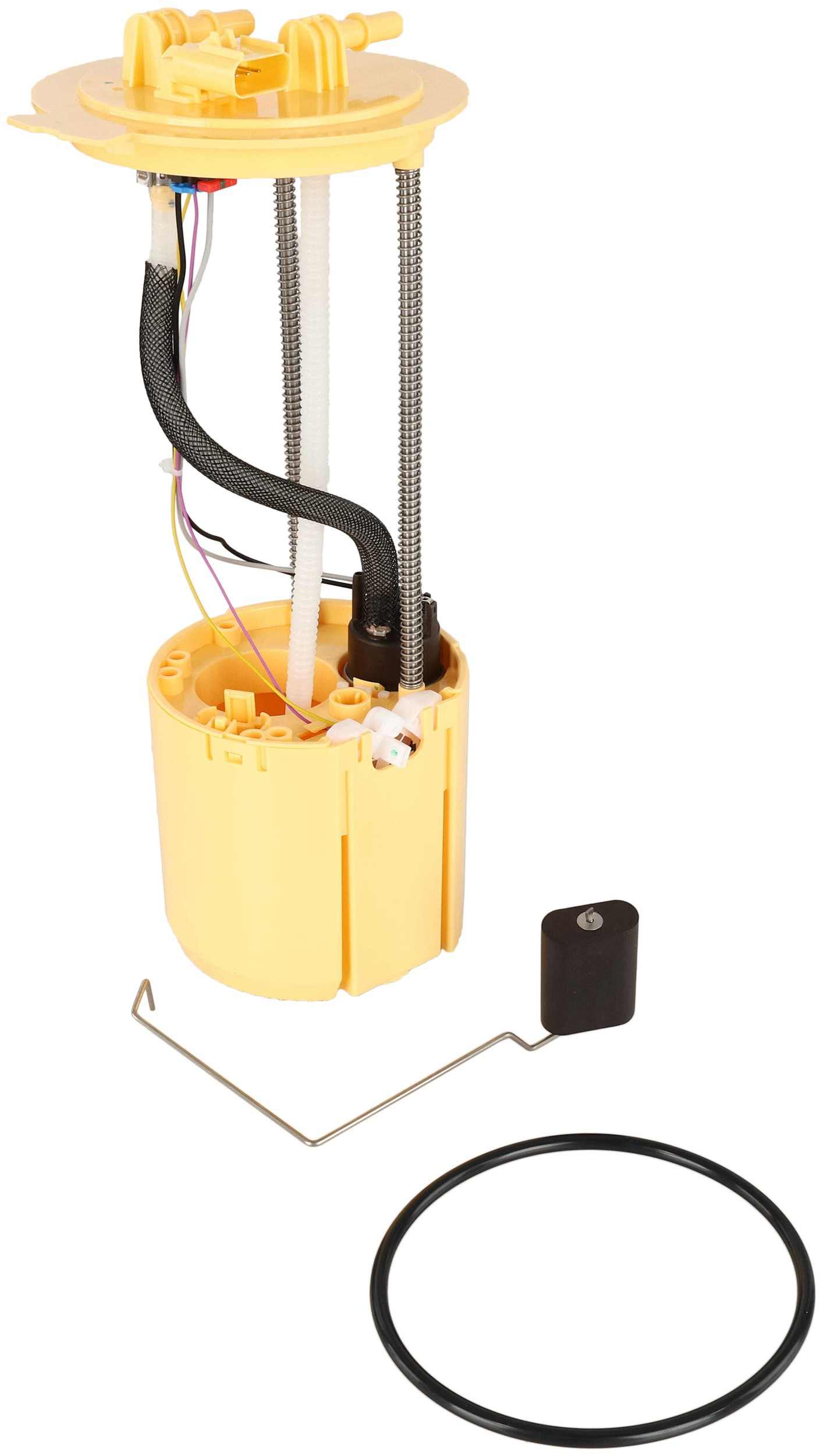 Delphi Fuel Pump Module Assembly FG1978