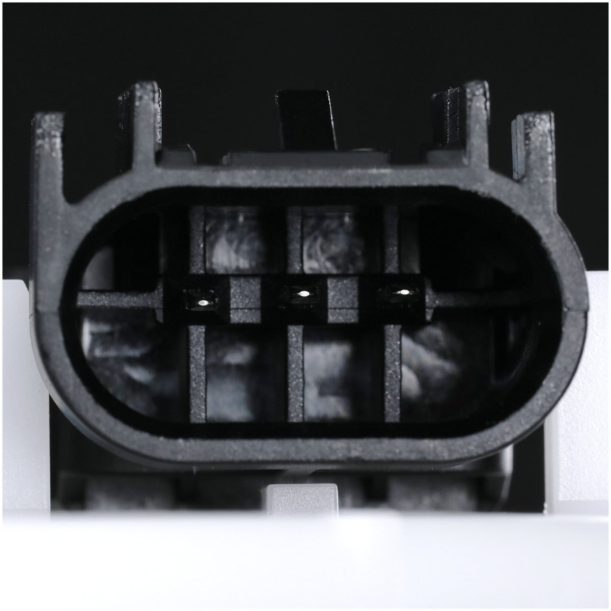 Delphi Fuel Pump Module Assembly FG2063