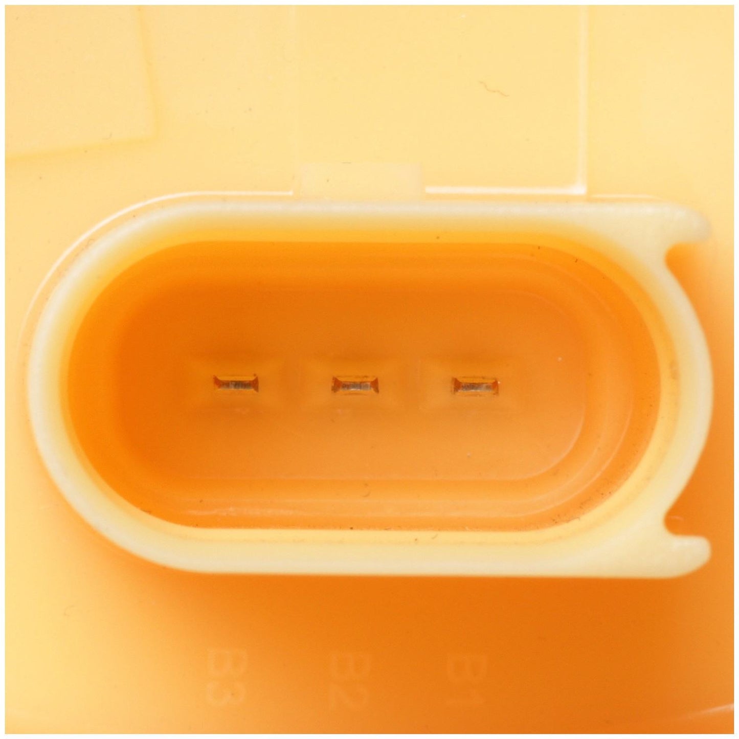 Delphi Fuel Pump Module Assembly FG2085