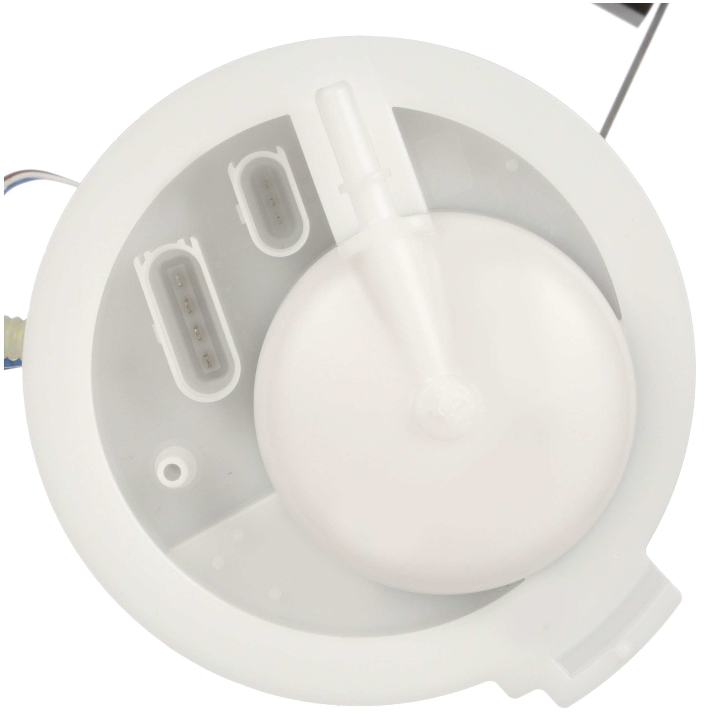 Delphi Fuel Pump Module Assembly FG2087