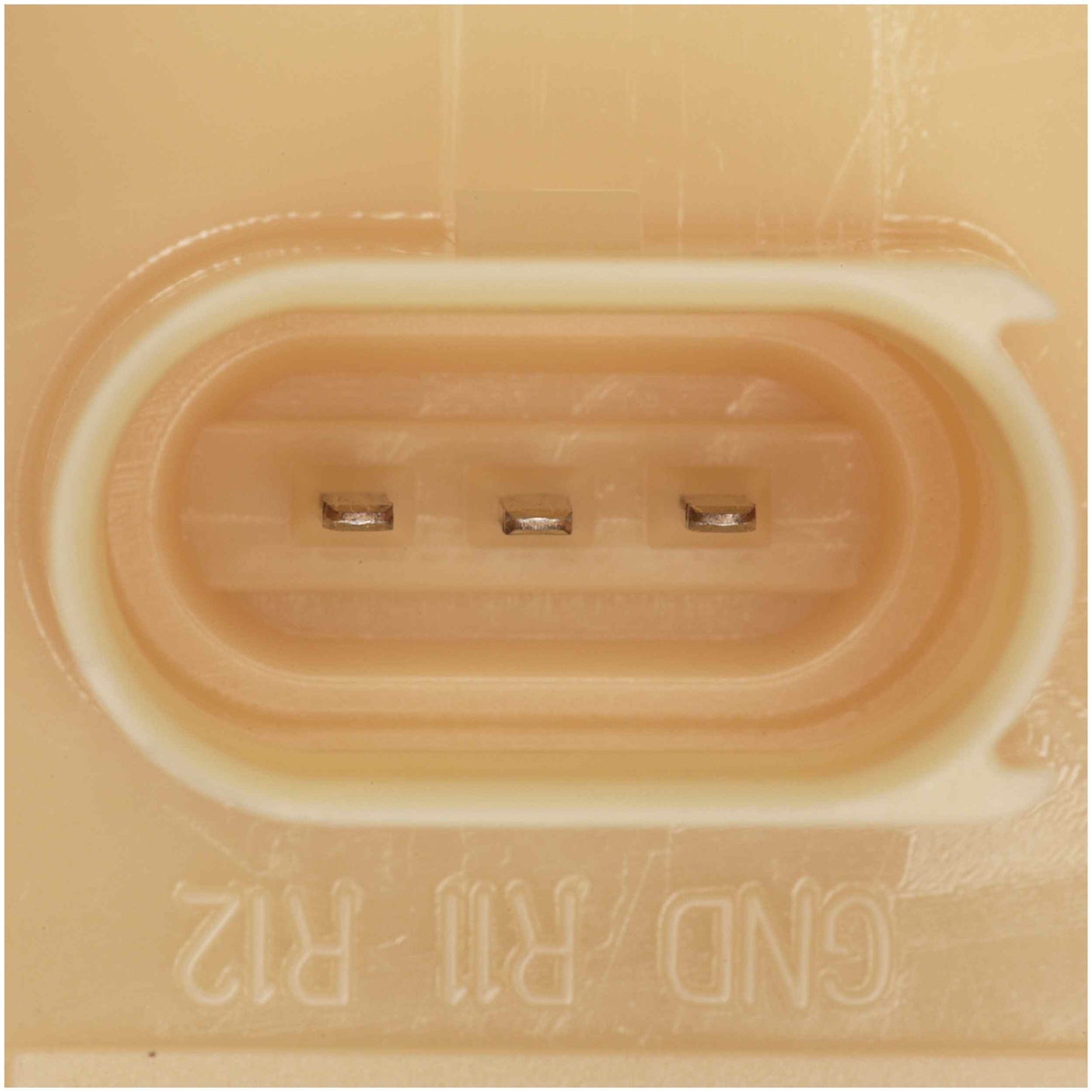 Delphi Fuel Pump Module Assembly FG2091