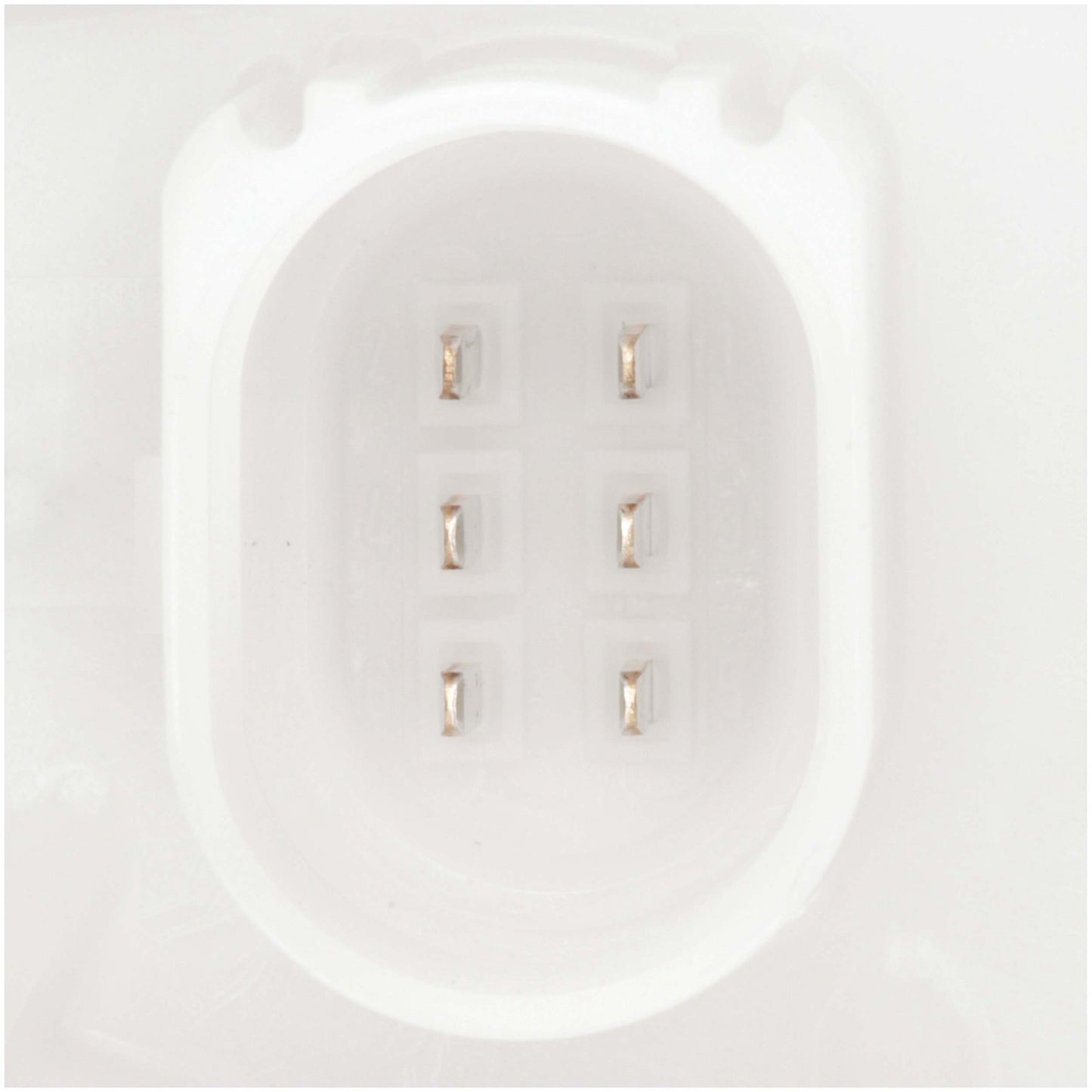 Delphi Fuel Pump Module Assembly FG2093