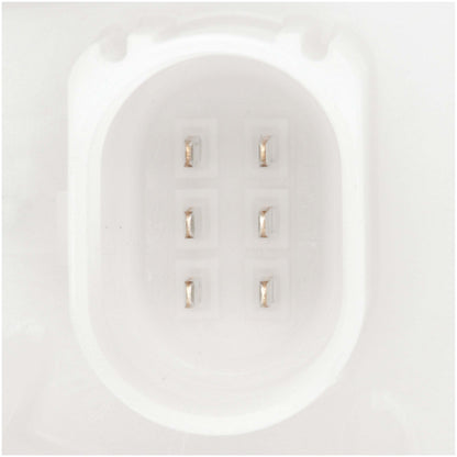 Delphi Fuel Pump Module Assembly FG2093