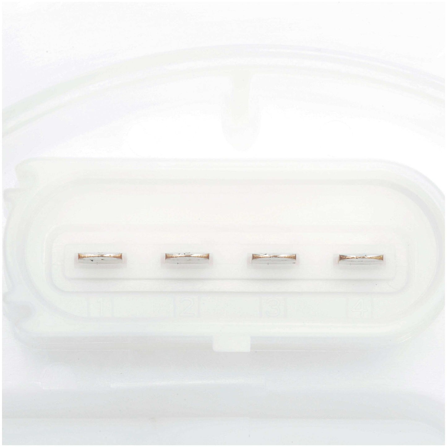 Delphi Fuel Pump Module Assembly FG2093