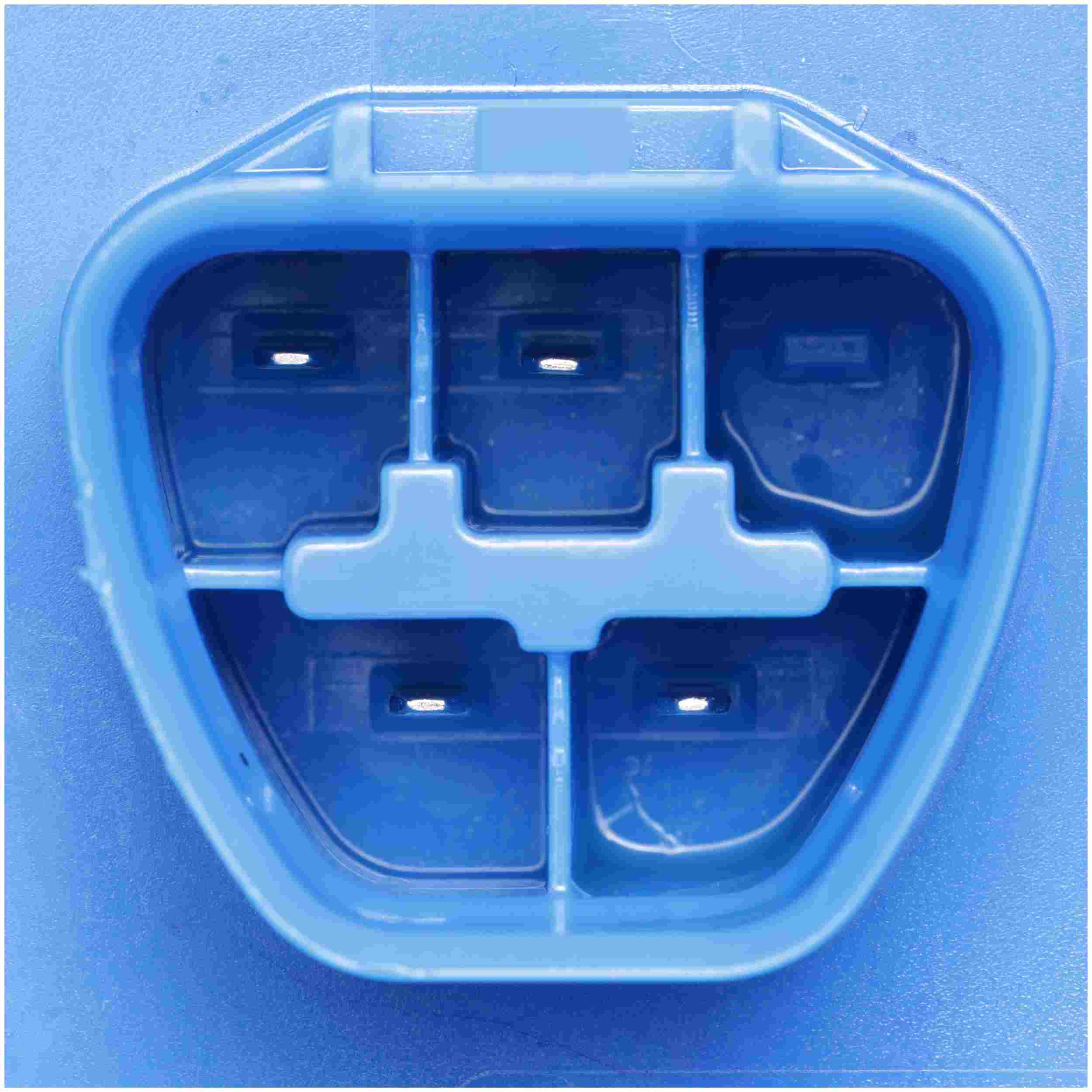 Delphi Fuel Pump Module FG2146