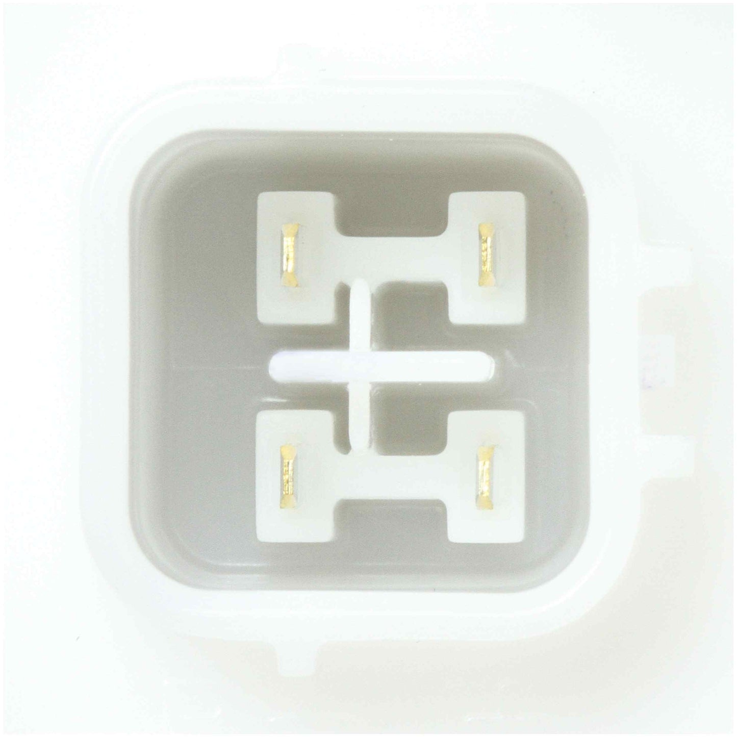 Delphi Fuel Pump Module FG2171
