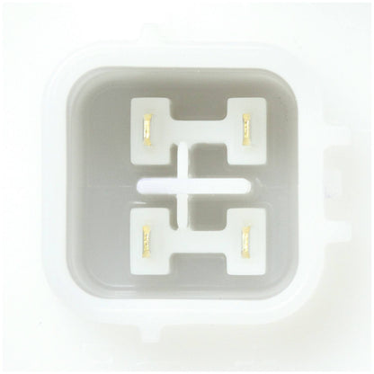 Delphi Fuel Pump Module FG2171