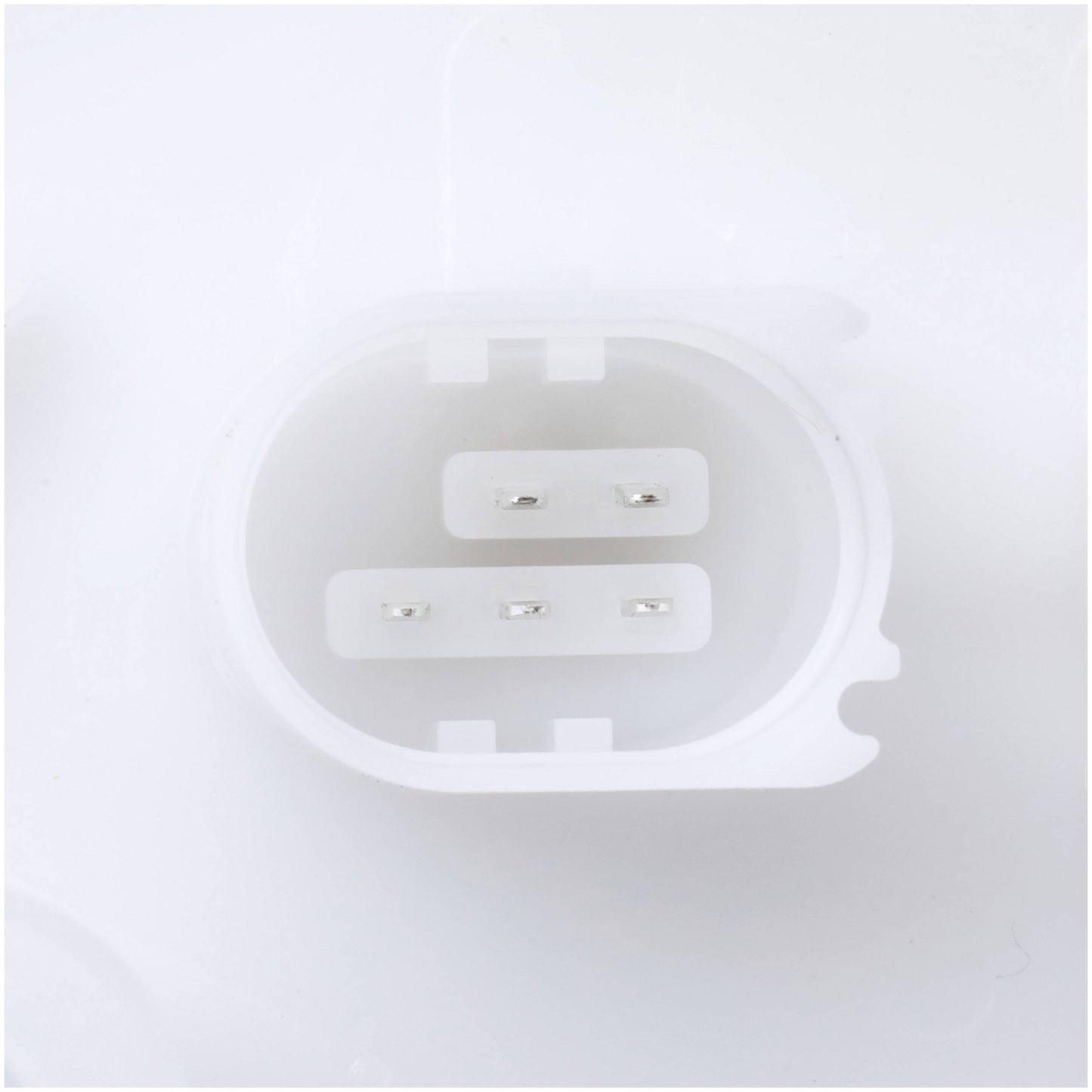Delphi Fuel Pump Module FG2186