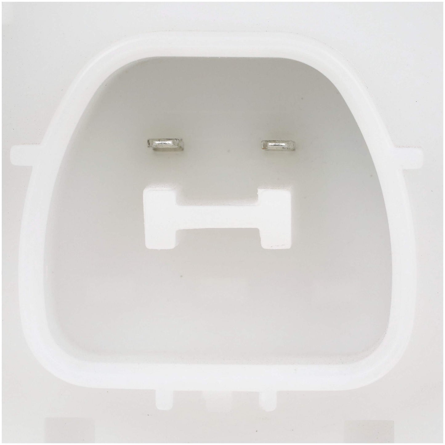 Delphi Fuel Pump Module Assembly FG2206