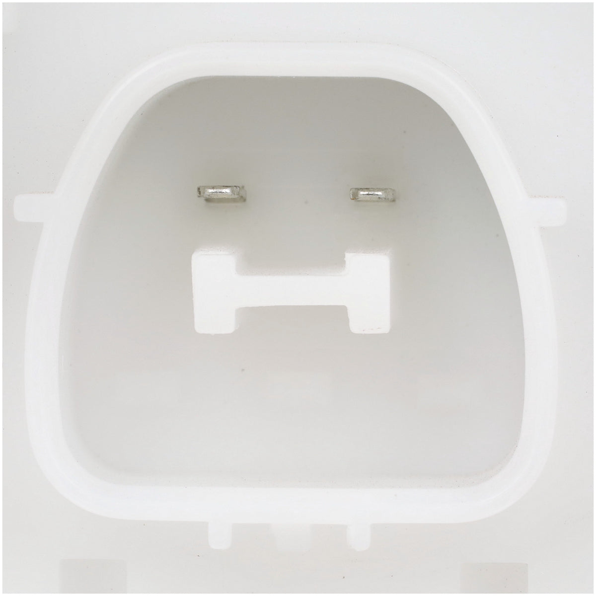 Delphi Fuel Pump Module Assembly FG2206