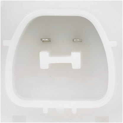 Delphi Fuel Pump Module Assembly FG2206