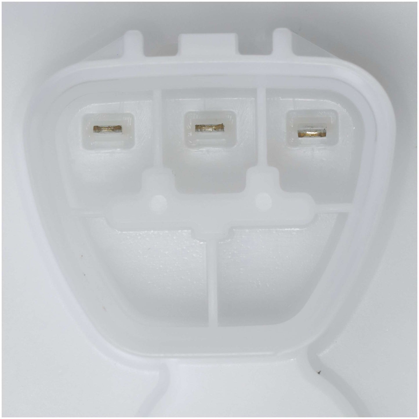 Delphi Fuel Pump Module Assembly FG2255