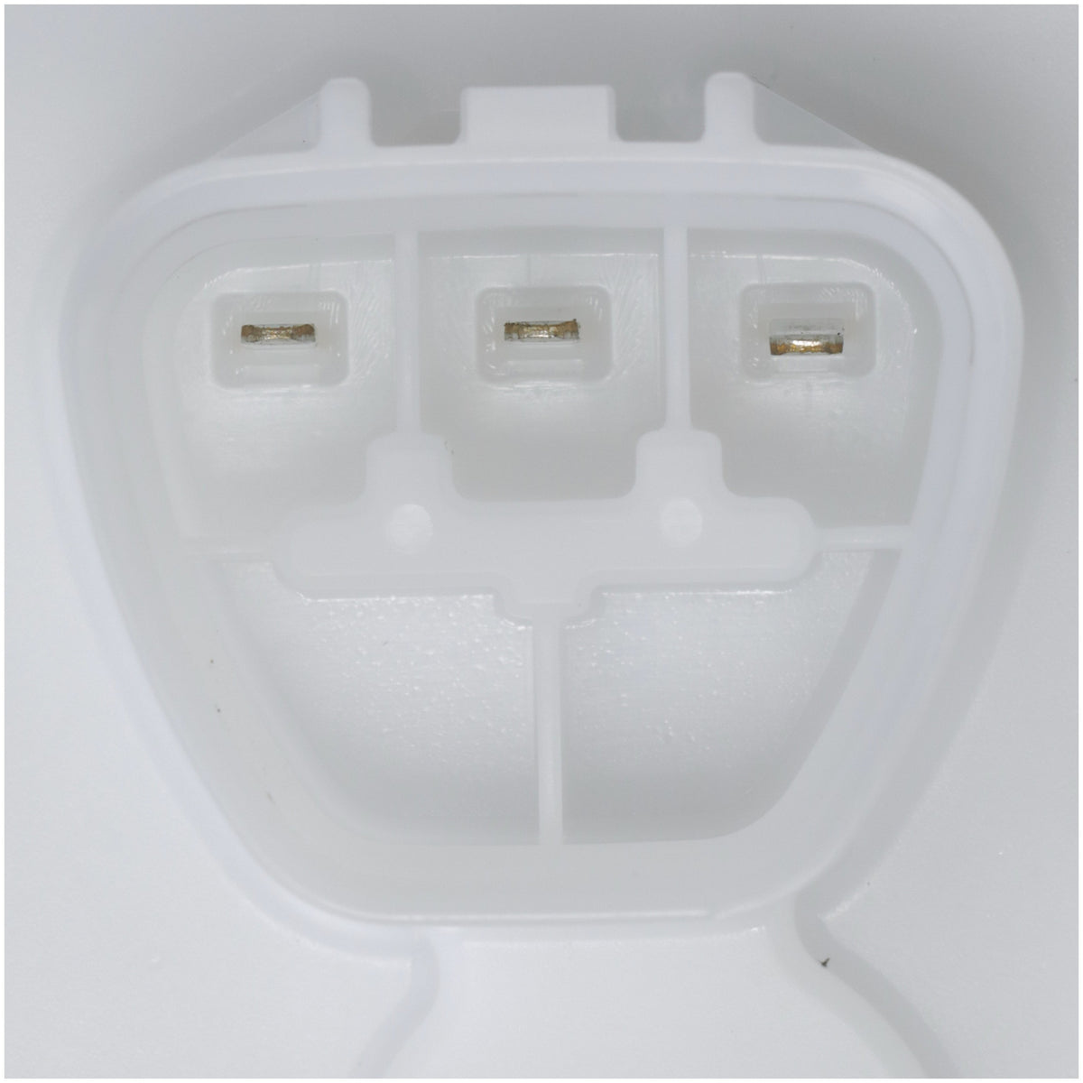 Delphi Fuel Pump Module Assembly FG2255