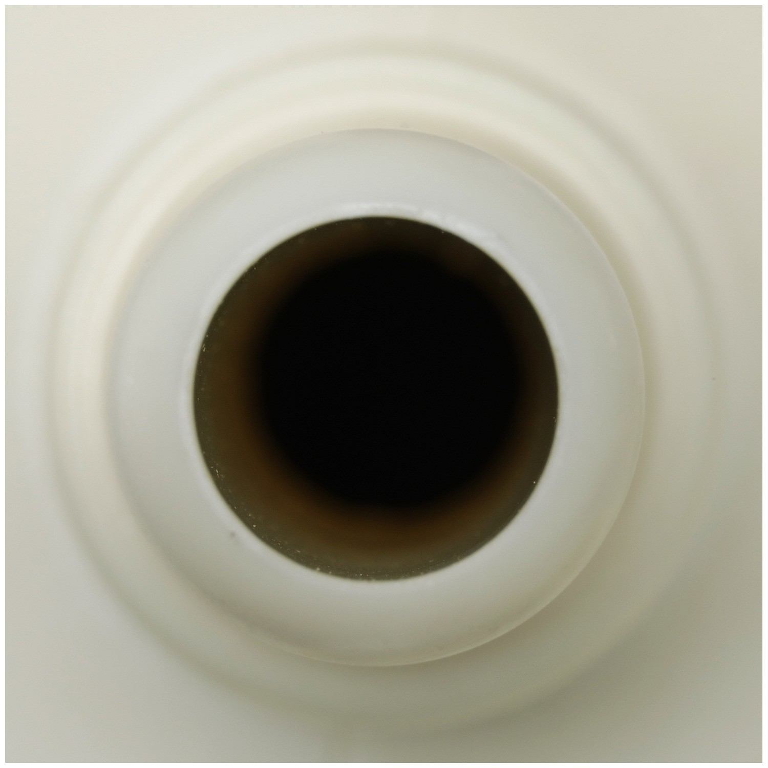 Delphi Fuel Pump Module Assembly FG2260