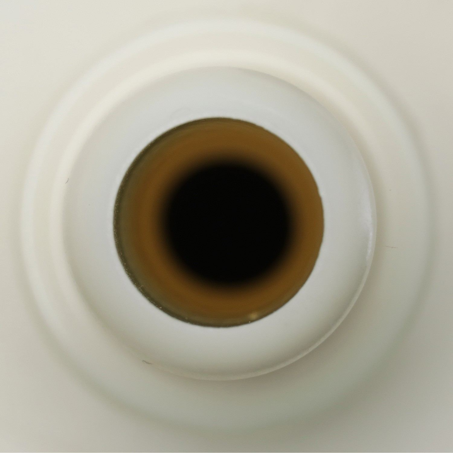 Delphi Fuel Pump Module Assembly FG2260