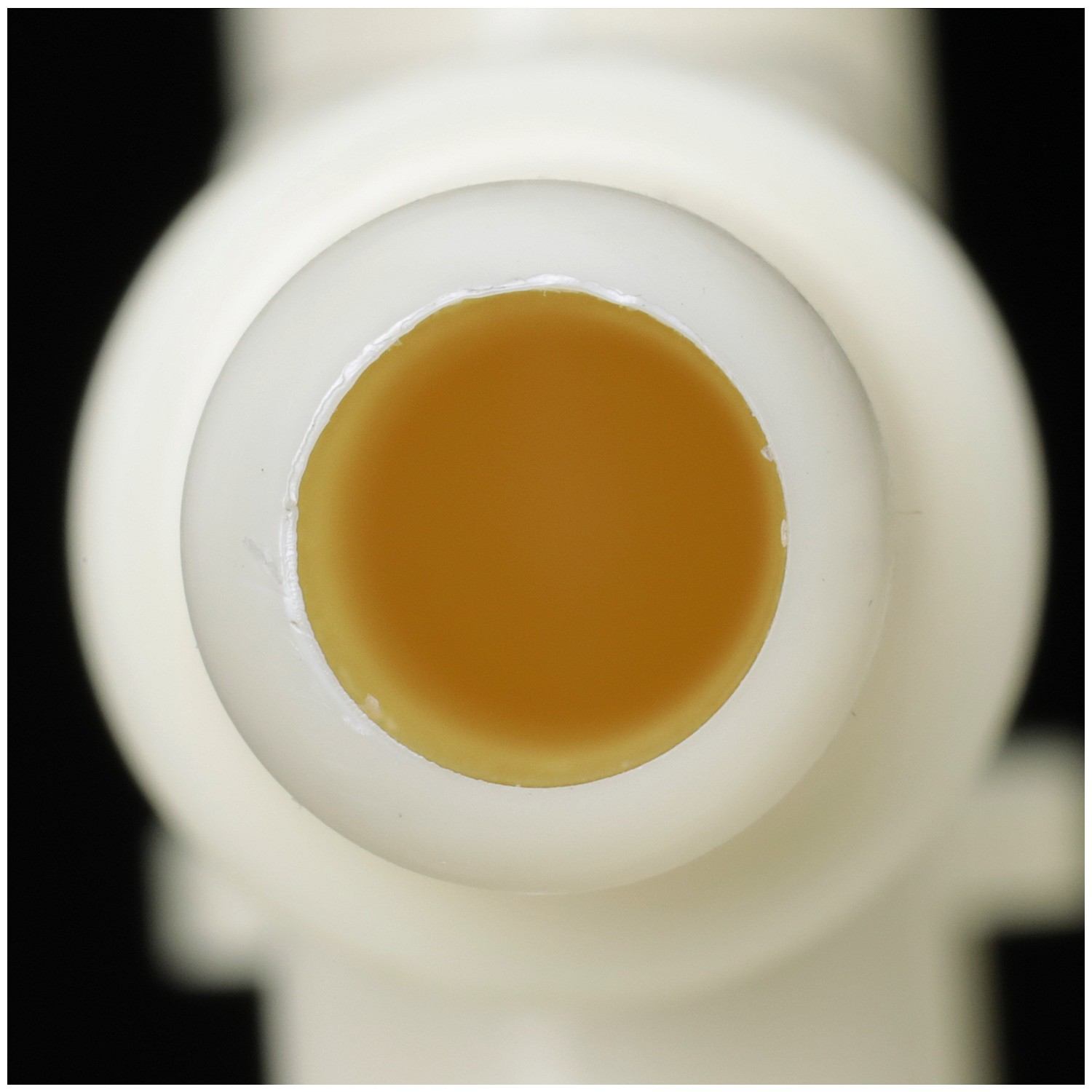 Delphi Fuel Pump Module Assembly FG2260