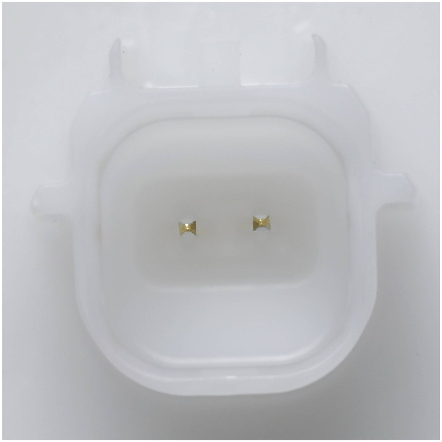 Delphi Fuel Pump Module Assembly FG2313