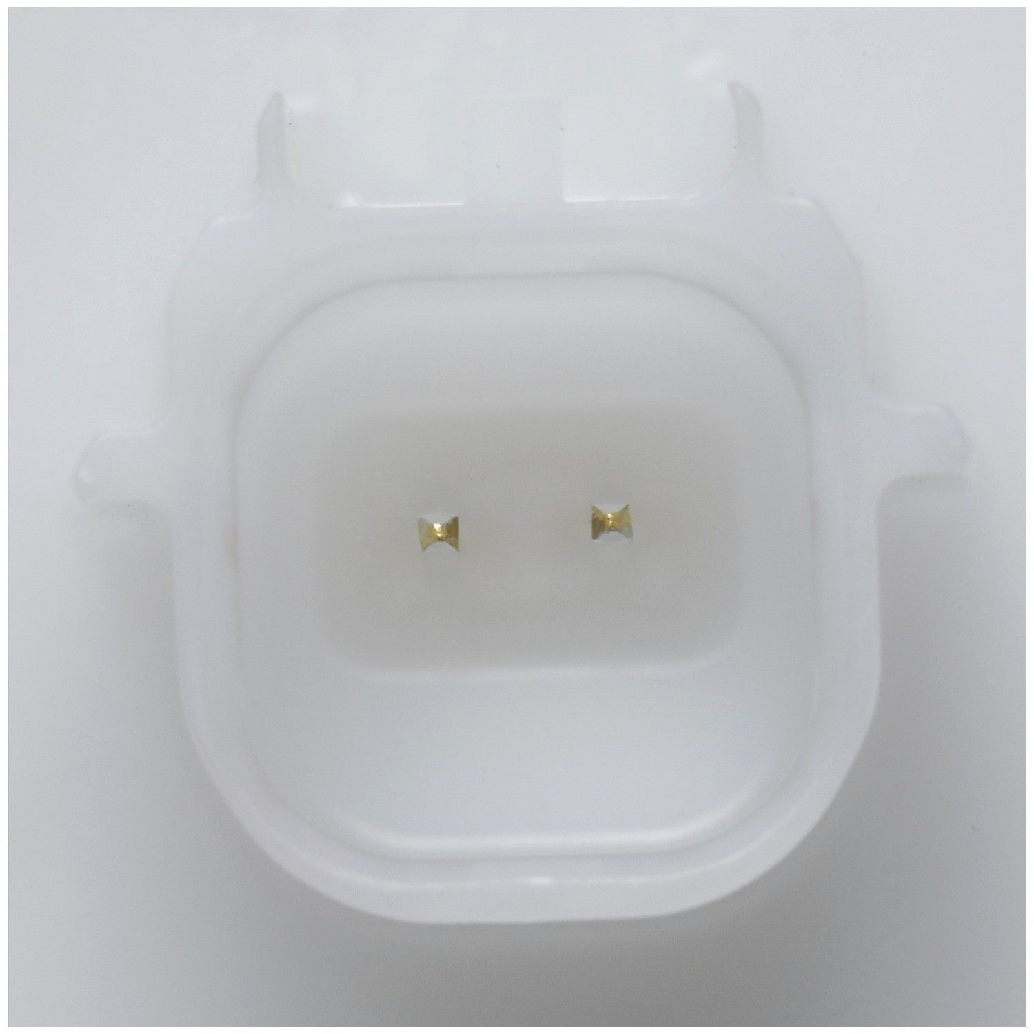 Delphi Fuel Pump Module Assembly FG2313