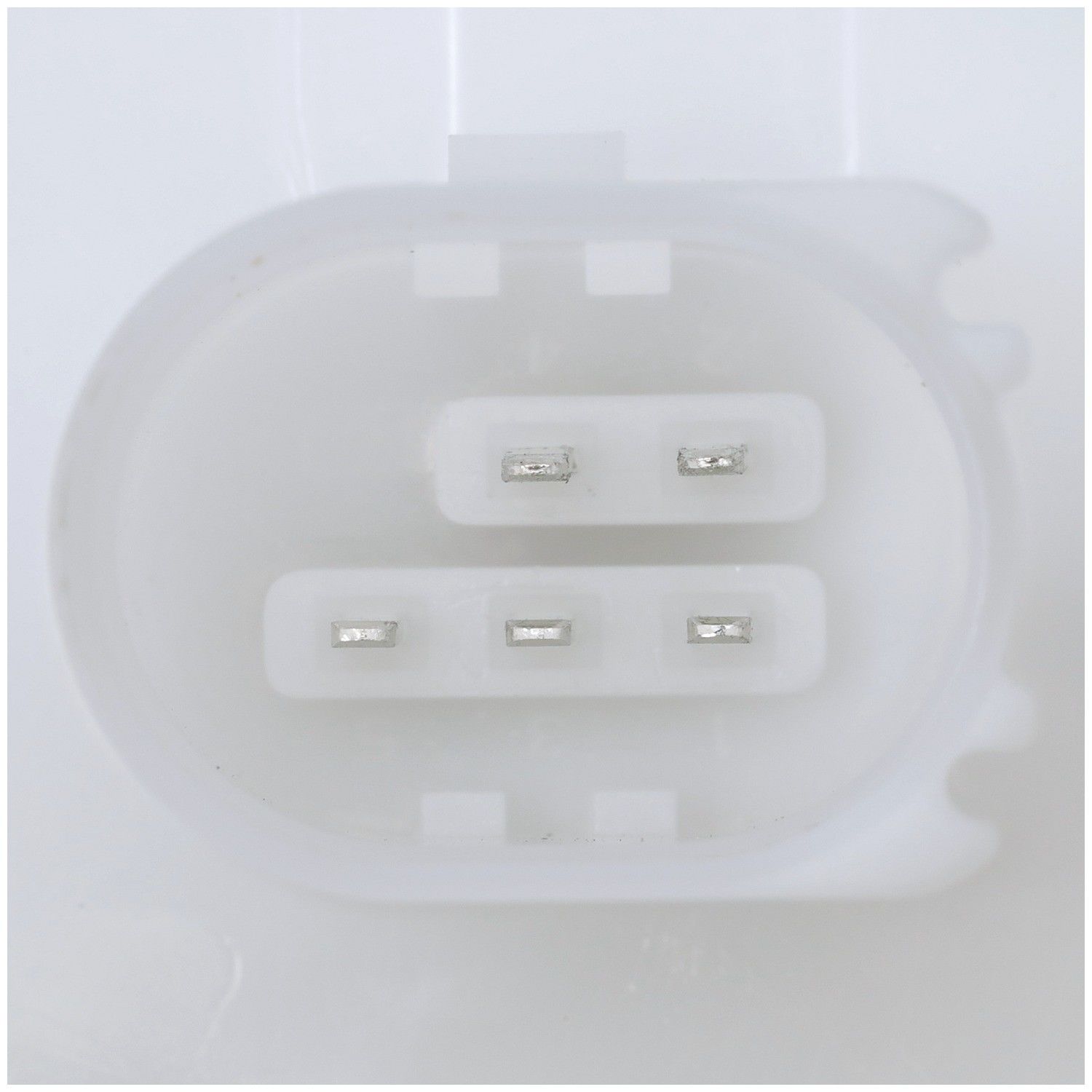 Delphi Fuel Pump Module Assembly FG2331