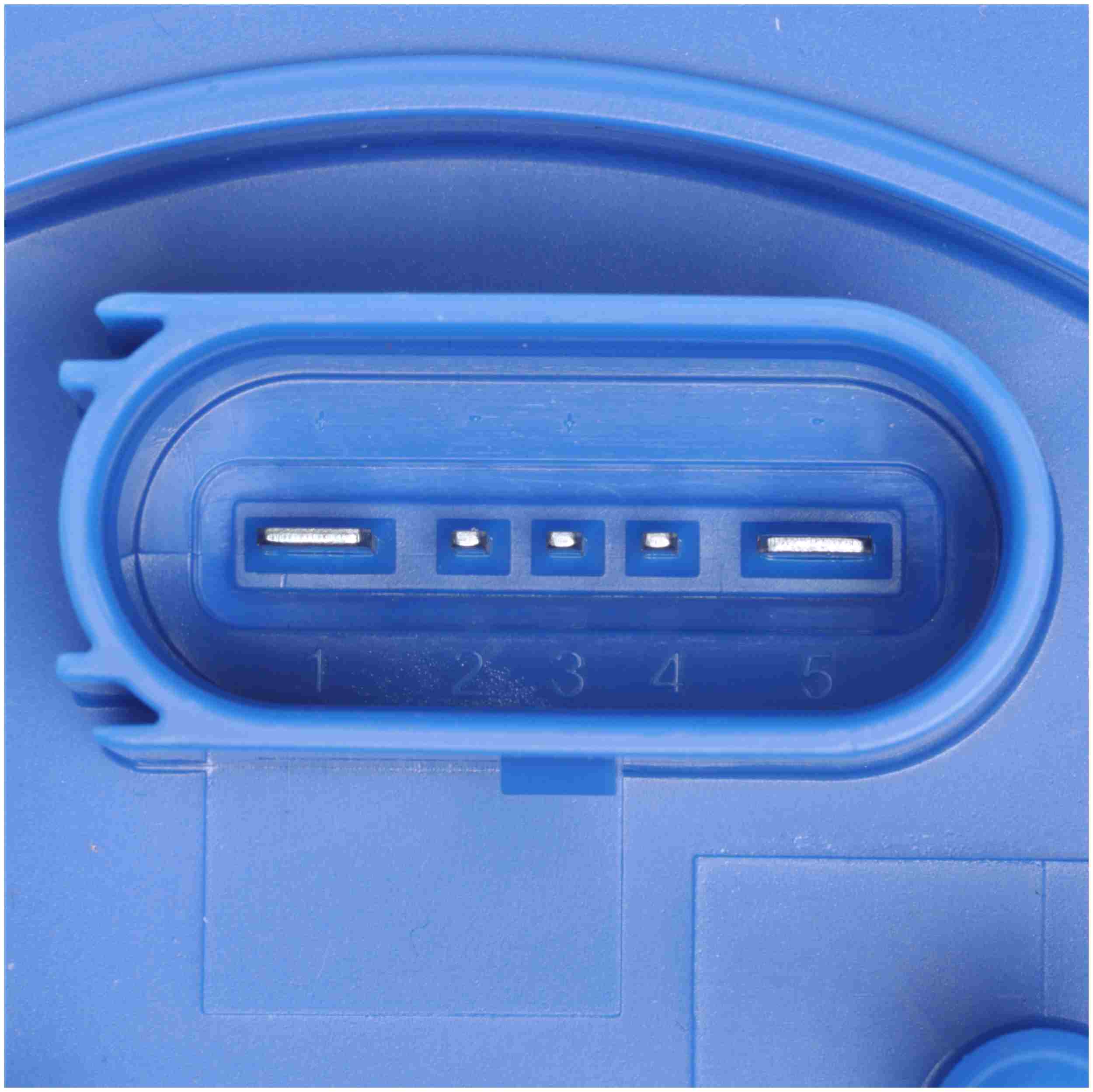 Delphi Fuel Pump Module Assembly FG2685