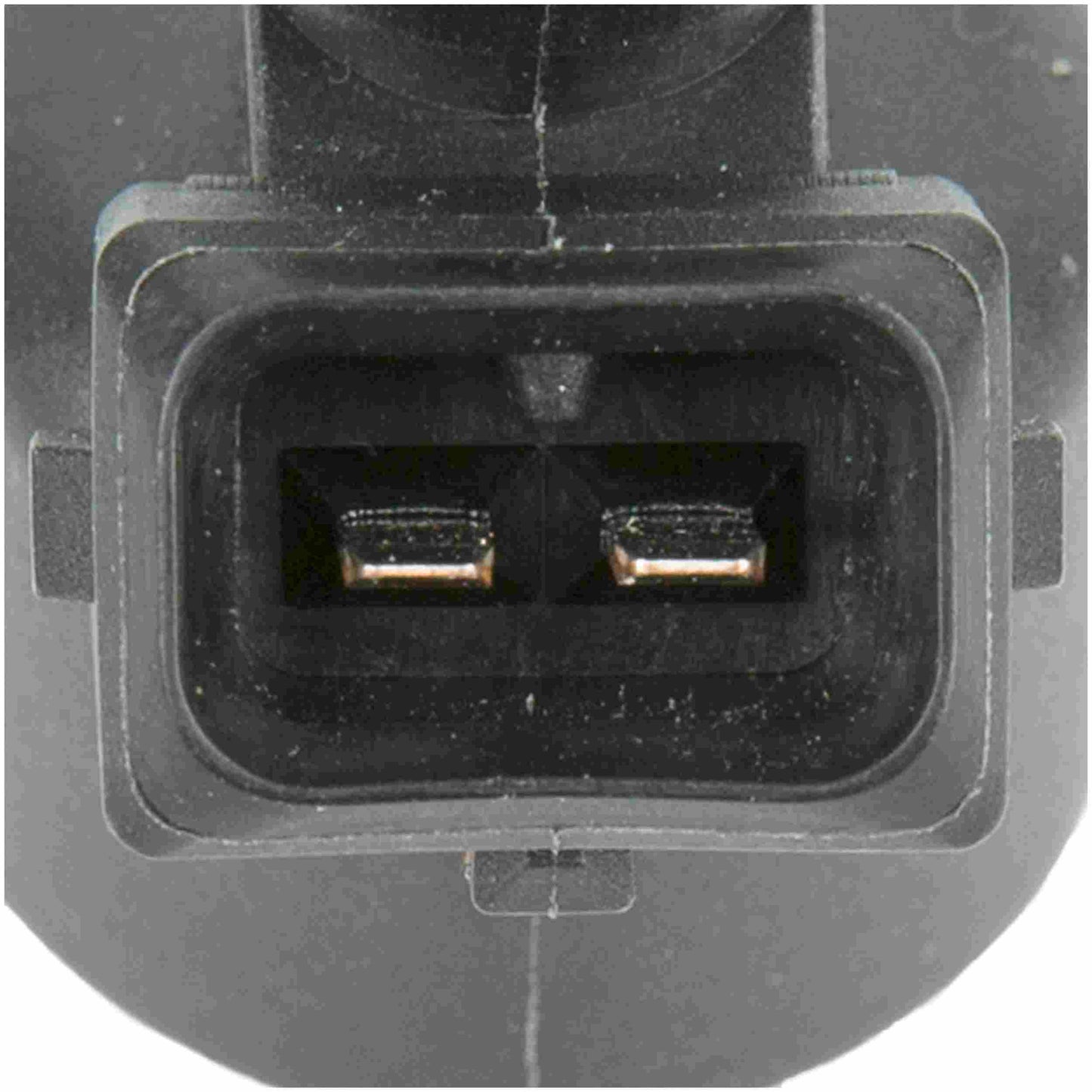 Delphi Fuel Injector FJ10024