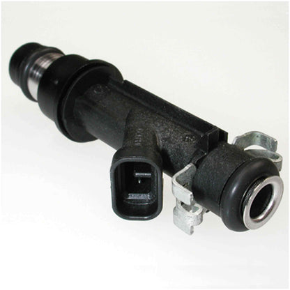 Delphi FJ10065