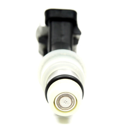 Delphi Fuel Injector FJ10572