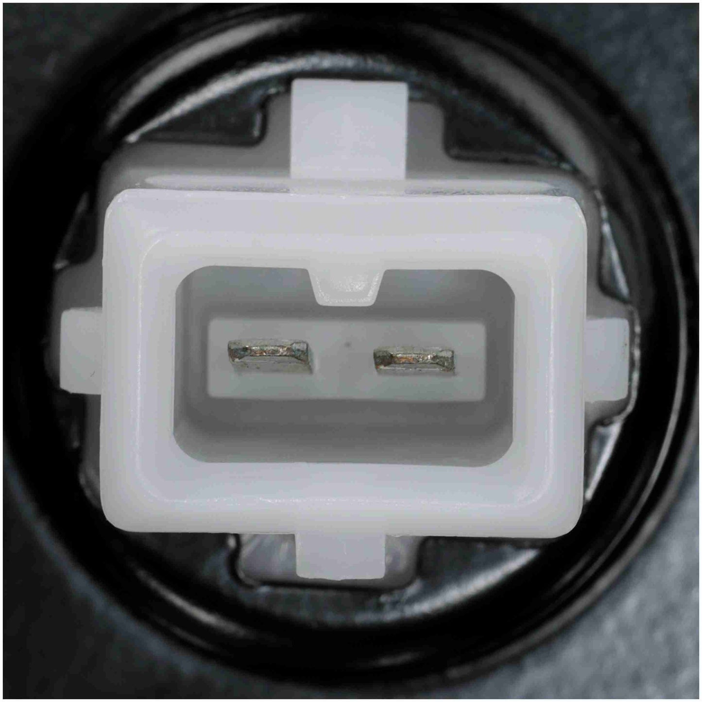 Delphi Fuel Tank Sending Unit FL0448