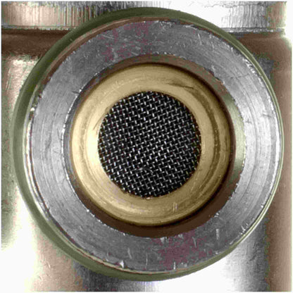 Delphi Fuel Injection Pressure Regulator FP10026