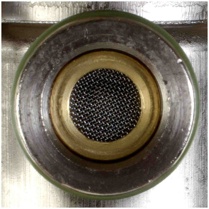 Delphi Fuel Injection Pressure Regulator FP10300